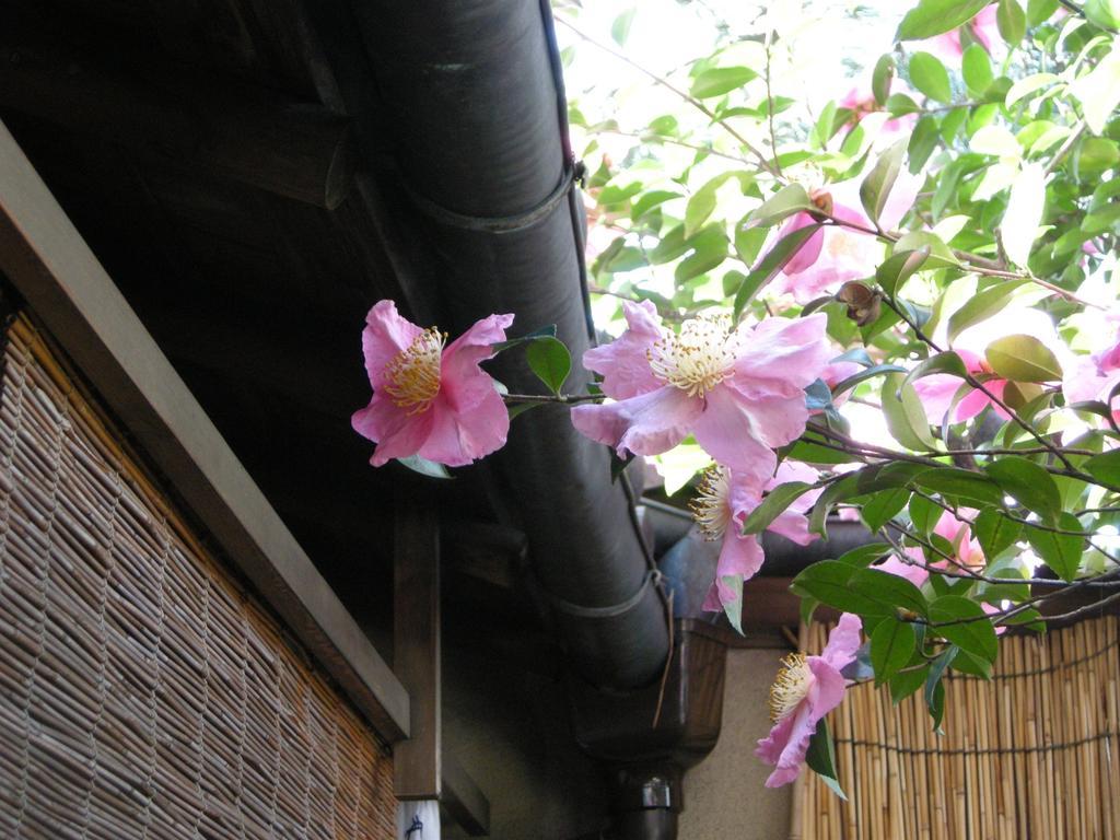 Guesthouse Itoya เกียวโต ภายนอก รูปภาพ